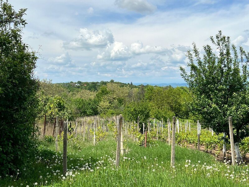 Seciu, Prahova