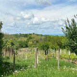 Seciu, Prahova